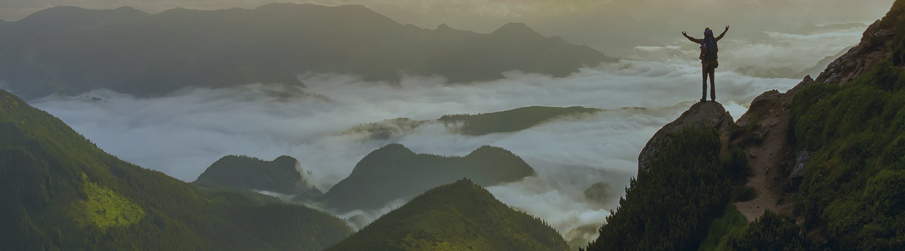 Pinnacle Franchise Development - Razor Rank